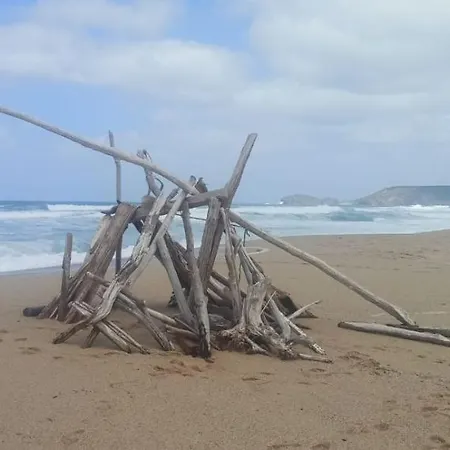 펜션 Casa Ester 토레 데이 코르사리