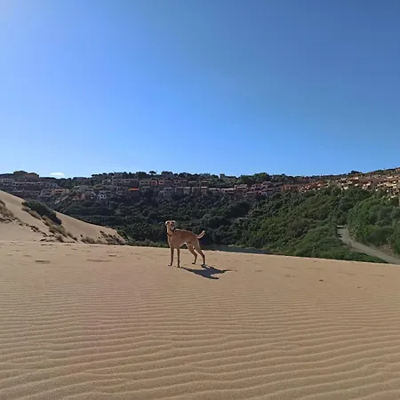 Casa Ester * Torre dei Corsari