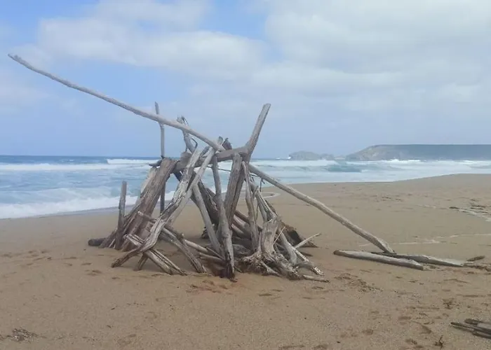 Дом отдыха Casa Ester Торре-дей-Корсари