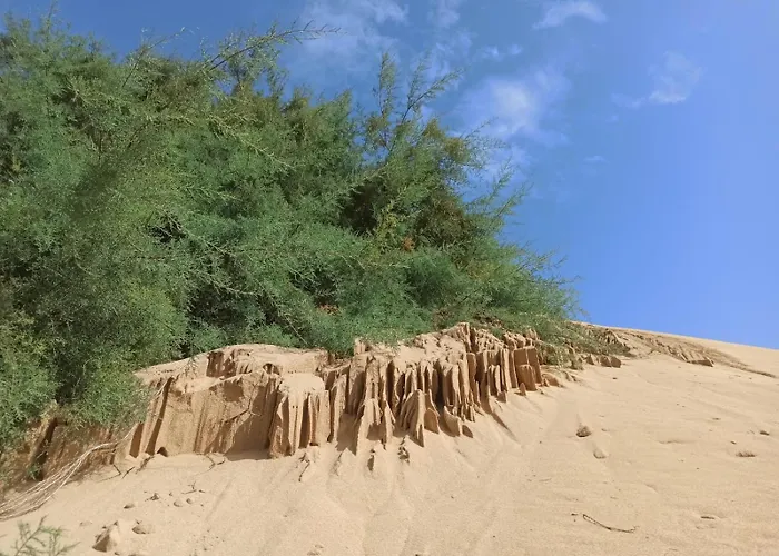 Casa Ester Дом отдыха Торре-дей-Корсари